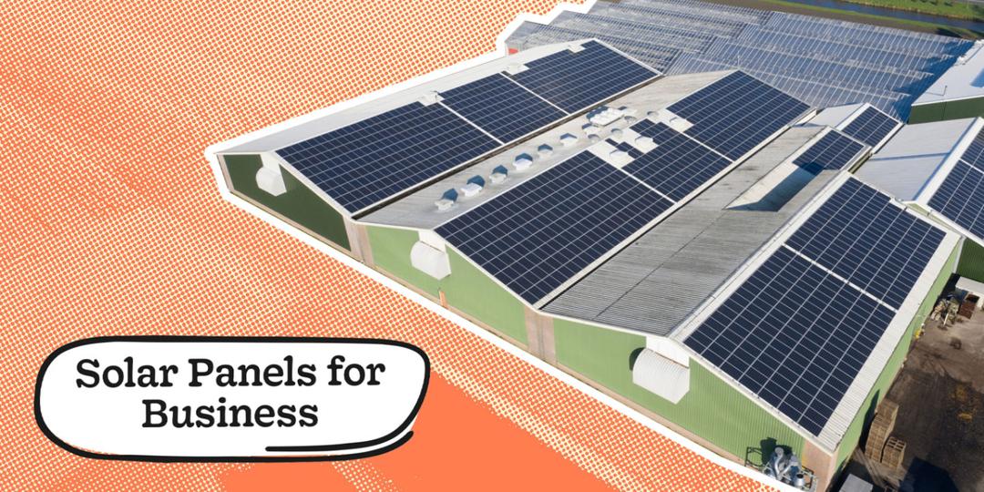 Solar for Business: Costs, Benefits & How to Get Started in 2026